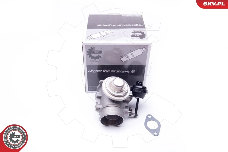 EGR Valve